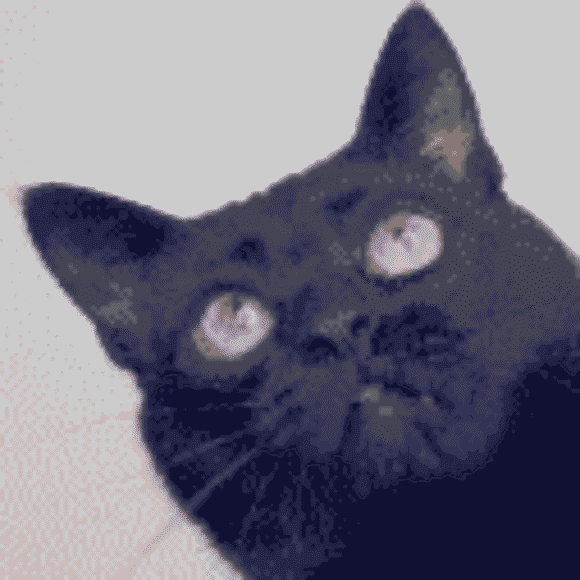 Profile picture of Janet